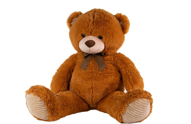 Brown Bear